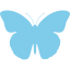 butterfly (1)