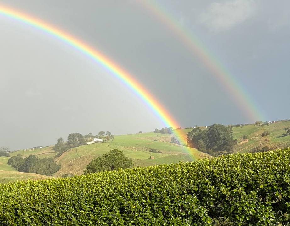 New Zealand. A beautiful field of green, with red flowers in the foreground. In the sky is a huge double rainbow, cascading down in the green meadows.