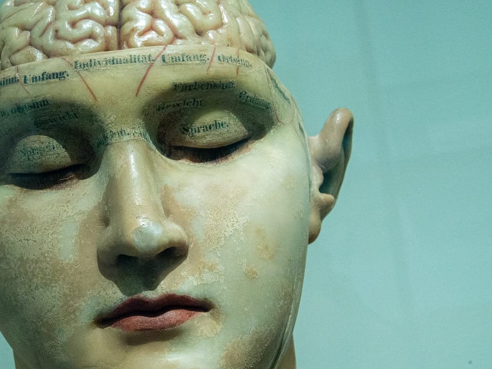 A whitish/yellowish figure of a test dummy, with the skin at the top part of his head gone, as if ready for brain surgery. Figure had almond-shaped eyes and a red mouth, with his left her jutting out. German words labeled on different sections of the brain.