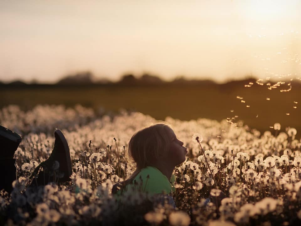 A little girl lying down on her stomach in a field of dandelions, with her knees bent, and feet swinging happily. It's dusk, and she's in a dreamlike state.