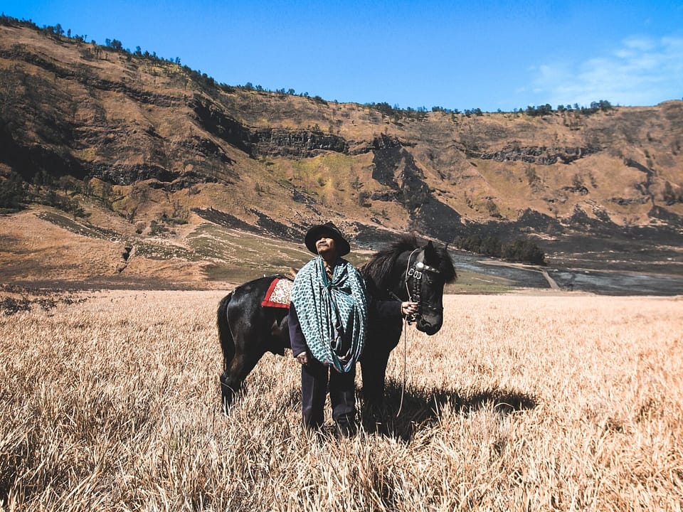 A man in a blue and white poncho, with a black horse, in a field of light-colored grain. The hills are in the background. Man has a long, black mustache.